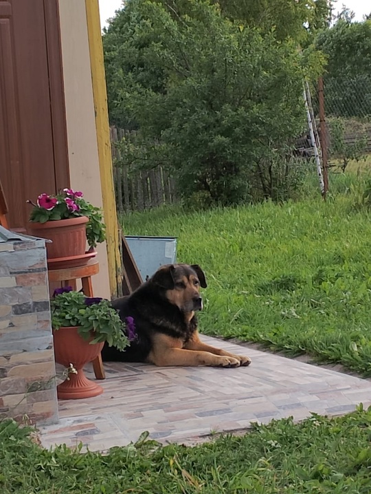 ВНИМАНИЕ!!! СУЗДАЛЬСКИЙ Р-ОН, ВЛАДИМИРСКАЯ ОБЛ., (3)