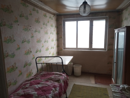 Продам дачу, село Паньковка 1,5 (5)