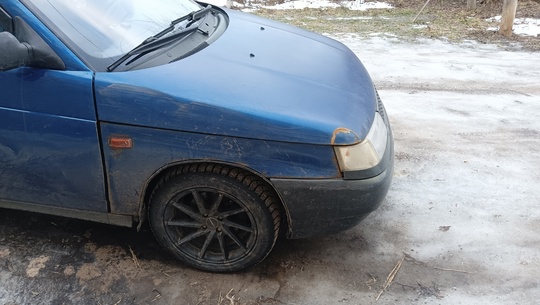 Продам 200 т.р второй хозяин (4)