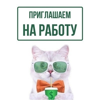 Приюту для животных «Помоги Другу»