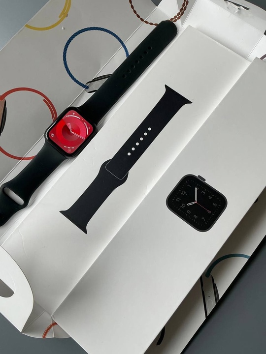 Часы Apple Watch SE(44) акб (5)
