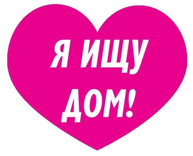 ♥ Невероятно очаровательная малышка Шурочка