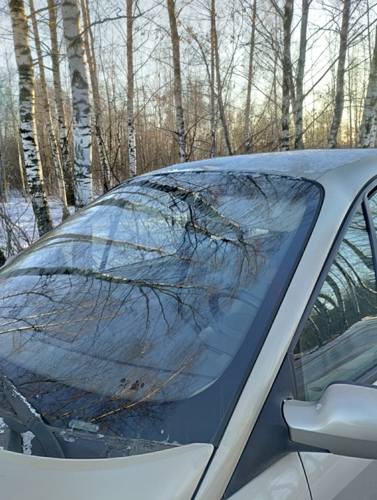 Продам или обменяю Renault Scenic (1)