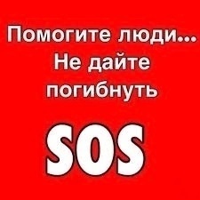 Алчевск.ЛНР.
Срочно!!! Раздаём простых собак,
Женщина, что (4)