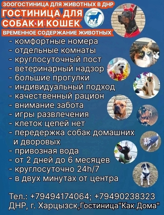 Гостиница для собак и кошек