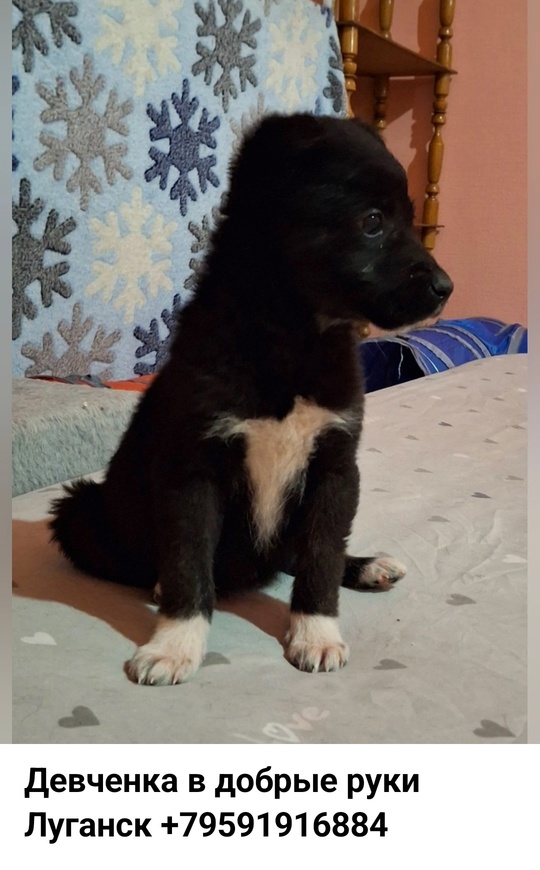https://vk.com/id887540274 #BiL_9@buy_in_lugansk