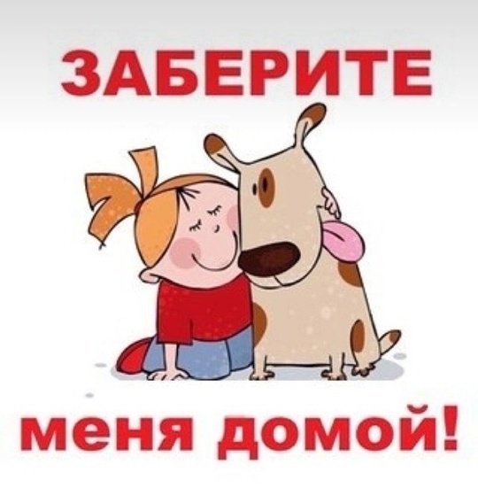 ПОЖАЛУЙСТА ОПУБЛИКУЙТЕ 
МАЛЫШКИ ИШУТ ДОМ (5)
