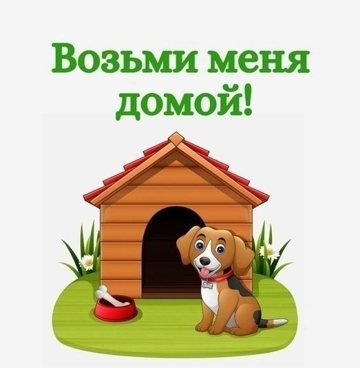 Алчевск. ЛНР.
Найден в балке маленький (1)