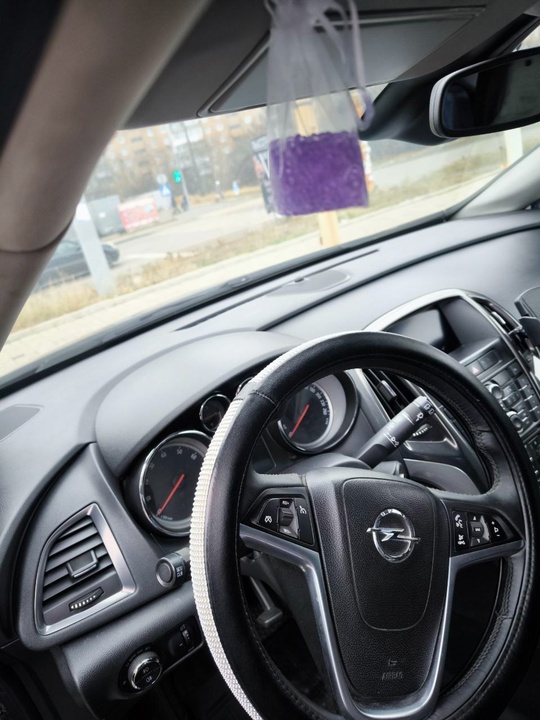 Стоимость 800 тысяч рублей. 
Opel (1)