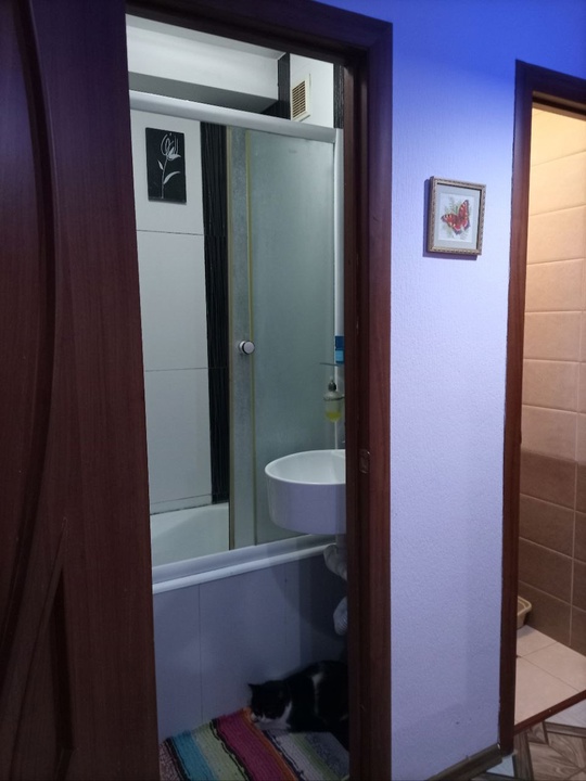Продам 3-комнатную квартиру в Луганске, (6)