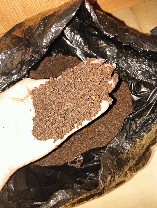 Продам аквариум на 47 л, (3)