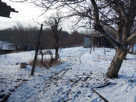 Дом с флигелем в Большой (6)