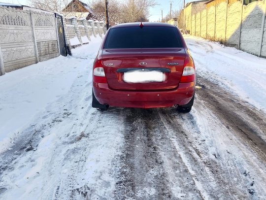 Продам калину  2010 года (2)