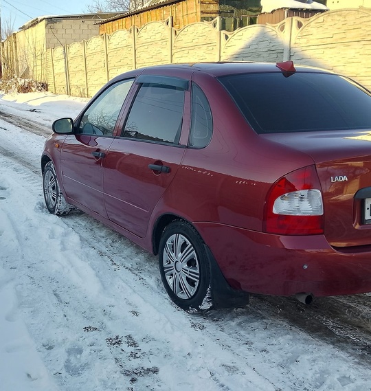 Продам калину  2010 года (3)