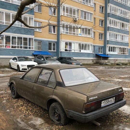 Ascona С3, 1987г, приехала на (3)