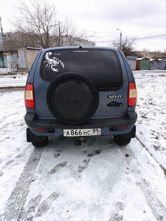Chevrolet Niva, 2008 год, 155. (3)