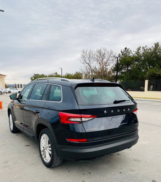 Skoda Kodiaq
2020
1.5 TSI
67550 km
2,95 млн (3)