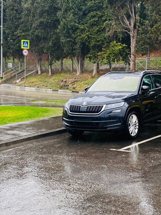 Skoda Kodiaq
2020
1.5 TSI
67550 km
2,95 млн (9)