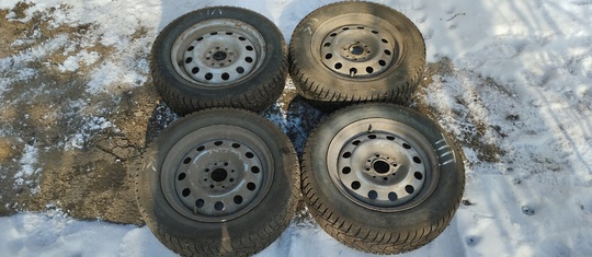 Продам R14 175/65 зима шипованные (1)