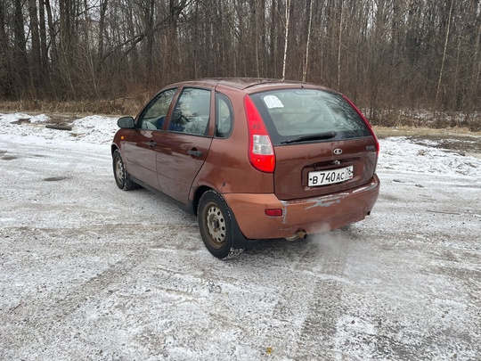 Продается калина в цвете 285 (1)