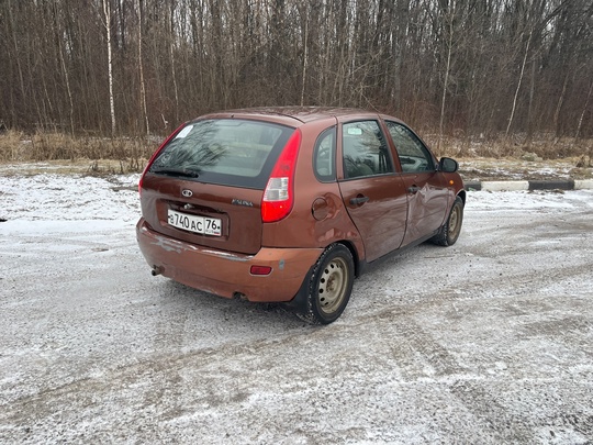 Продается калина в цвете 285 (2)