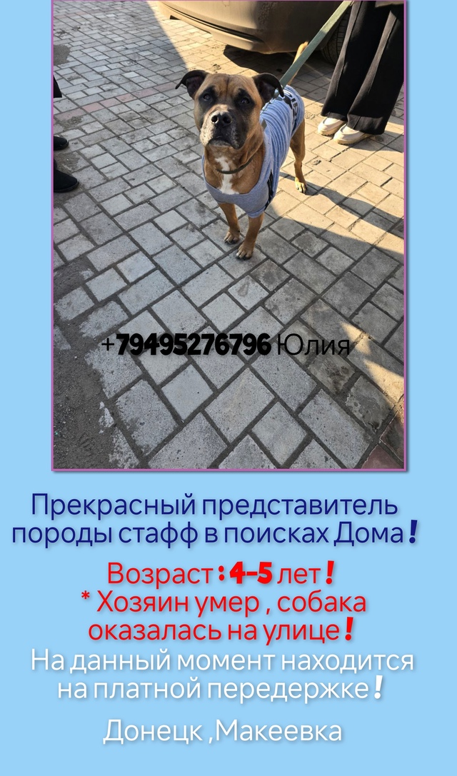 ‼️ Этому парню срочно нужен