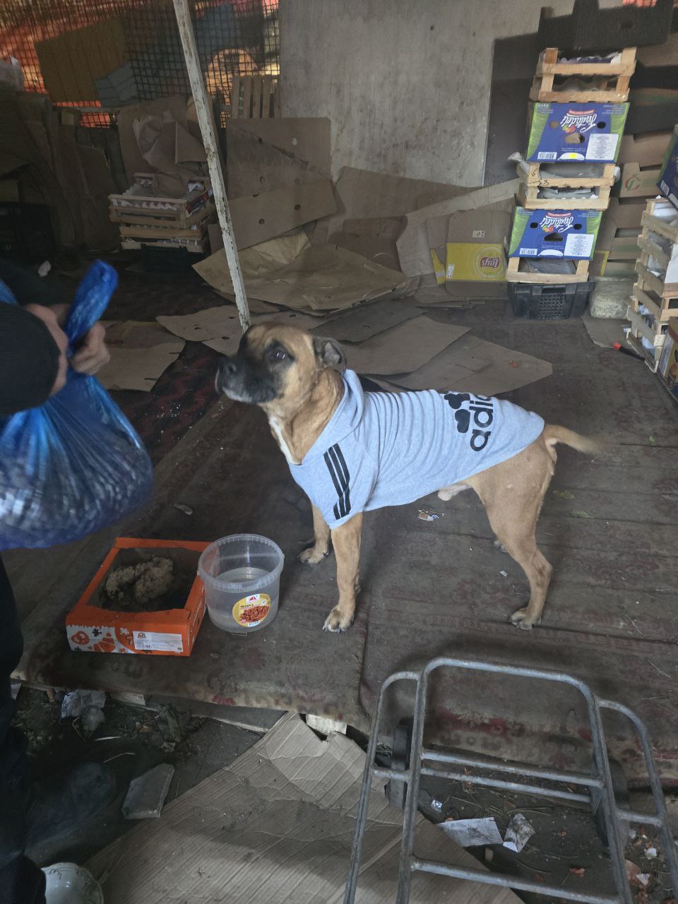 ‼️ Этому парню срочно нужен (2)