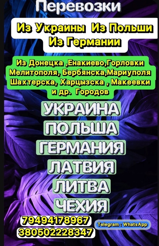 ✅ПАССАЖИРСКИЕ ПЕРЕВОЗКИ✅ 
  