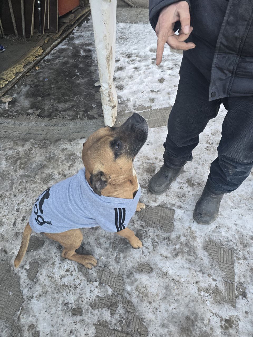 ‼️ Этому парню срочно нужен