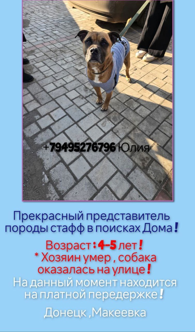 ‼️ Этому парню срочно нужен (2)