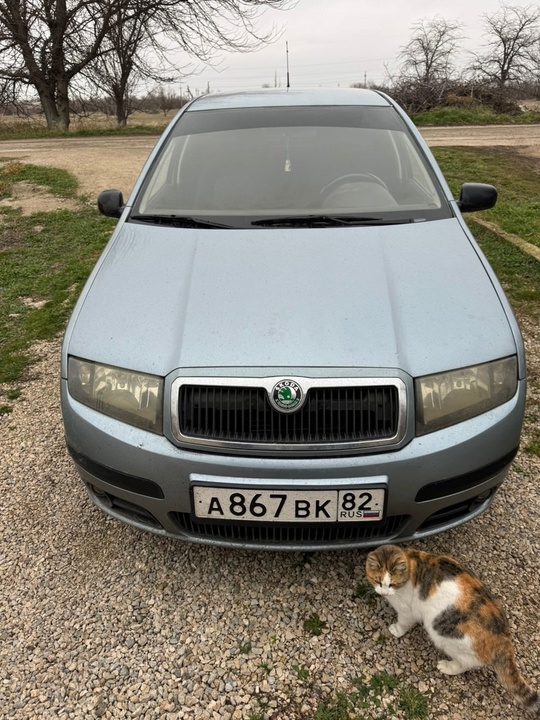 Продам 350 000 руб. Шкода (5)