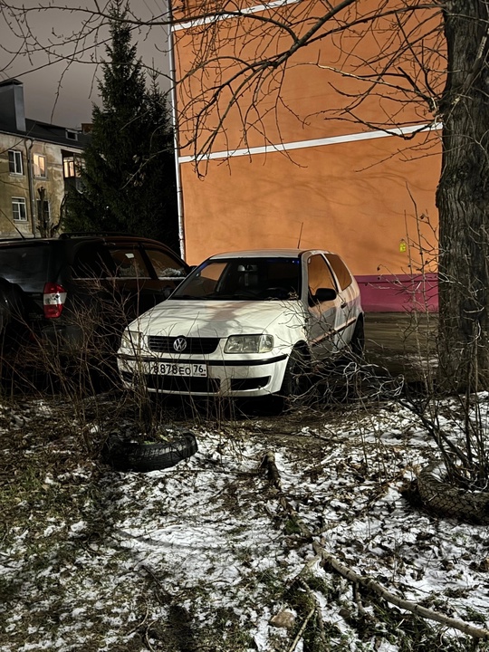 230 тыс. На пару дней (5)