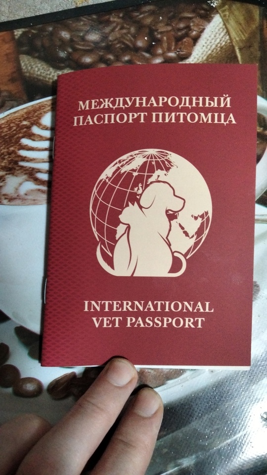 Продажа щенков стаффордширского терьера! 
Щенки (8)