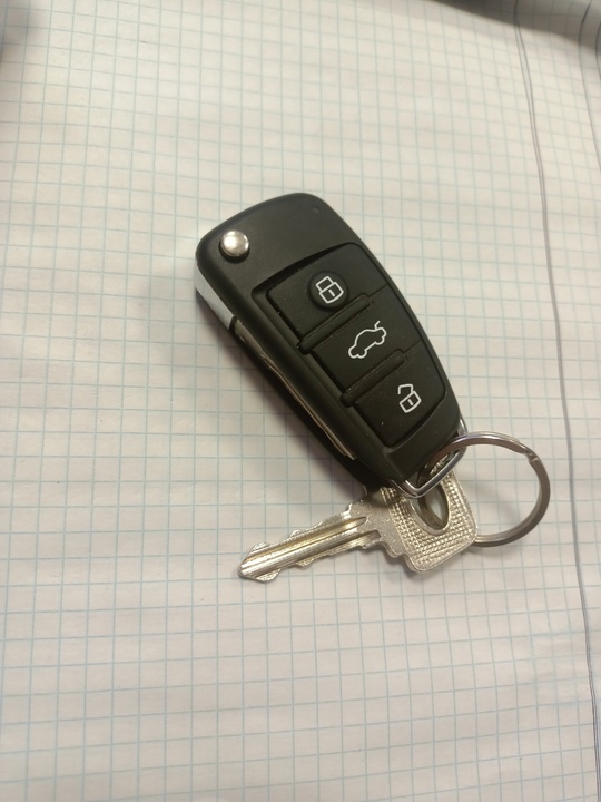 Продам живую 14 не гнилая (3)