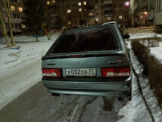 Продам живую 14 не гнилая (4)