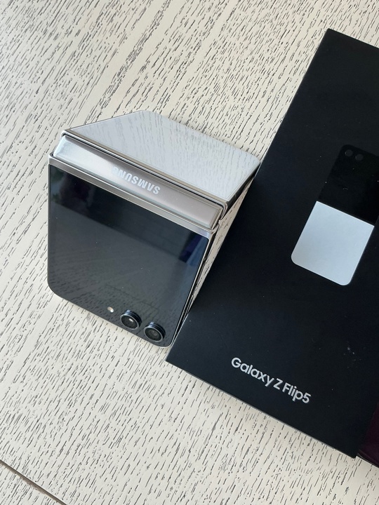 Samsung Flip 5 (8/256) цена