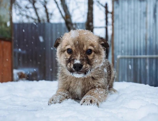 Конечно, это не джага джага, (3)
