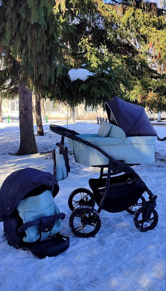 Коляска 2 в 1, в (2)