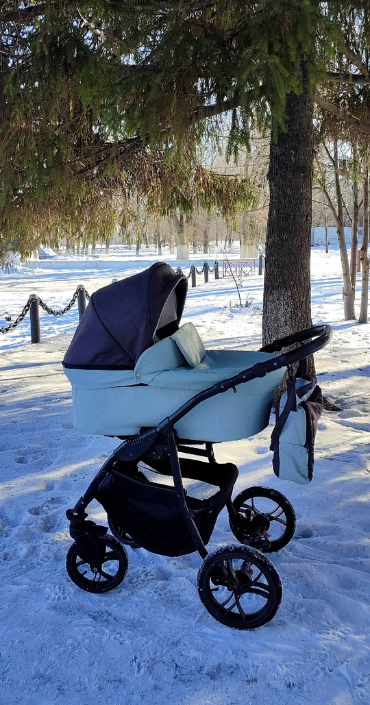 Коляска 2 в 1, в (3)