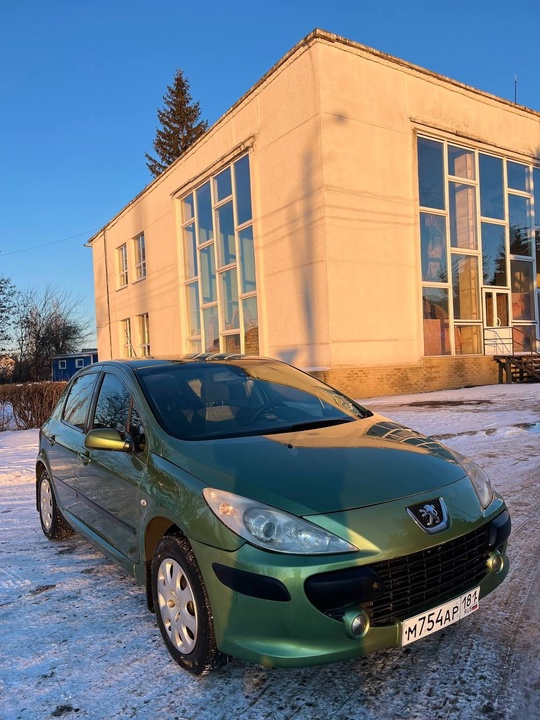 Продам Peugeot 307 2006 года (1)
