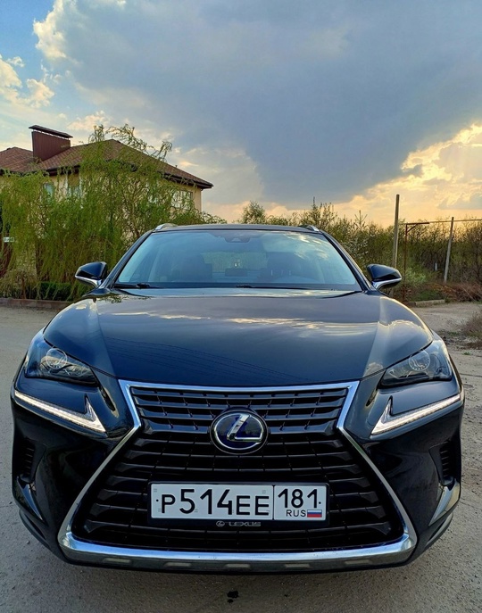 Продам Lexus NX 300h
Премиальная иномарка (2)
