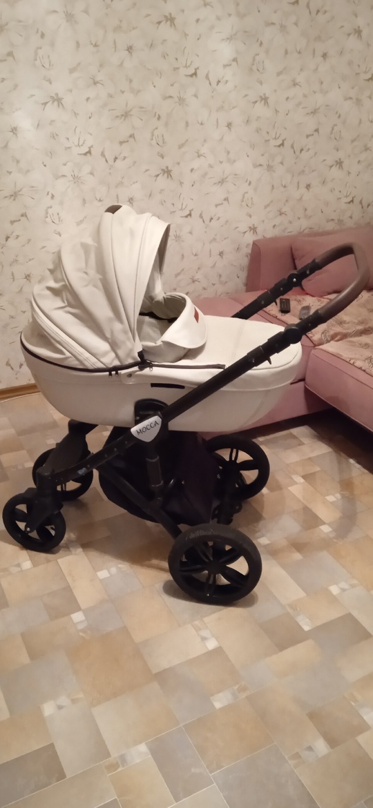 Коляска Verdi Мoсса 3 в (1)