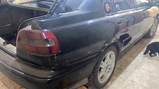 Продам волка в шкуре овечки (3)