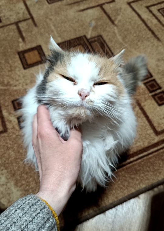 Алчевск, Перевальск, Стаханов, Брянка и (3)