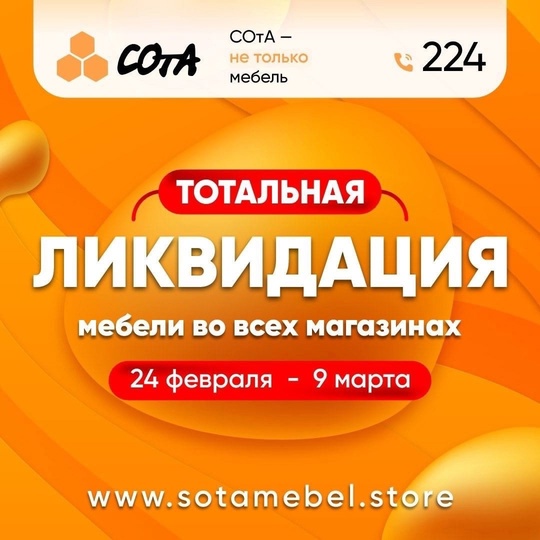 Тотальная ЛИКВИДАЦИЯ МЕБЕДИ «СОтА» во