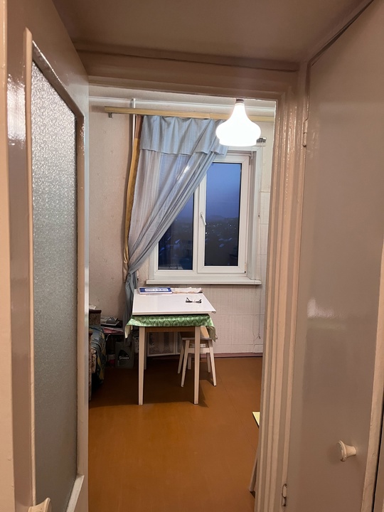 Продам 1-комнатную квартиру в Ленинском (6)