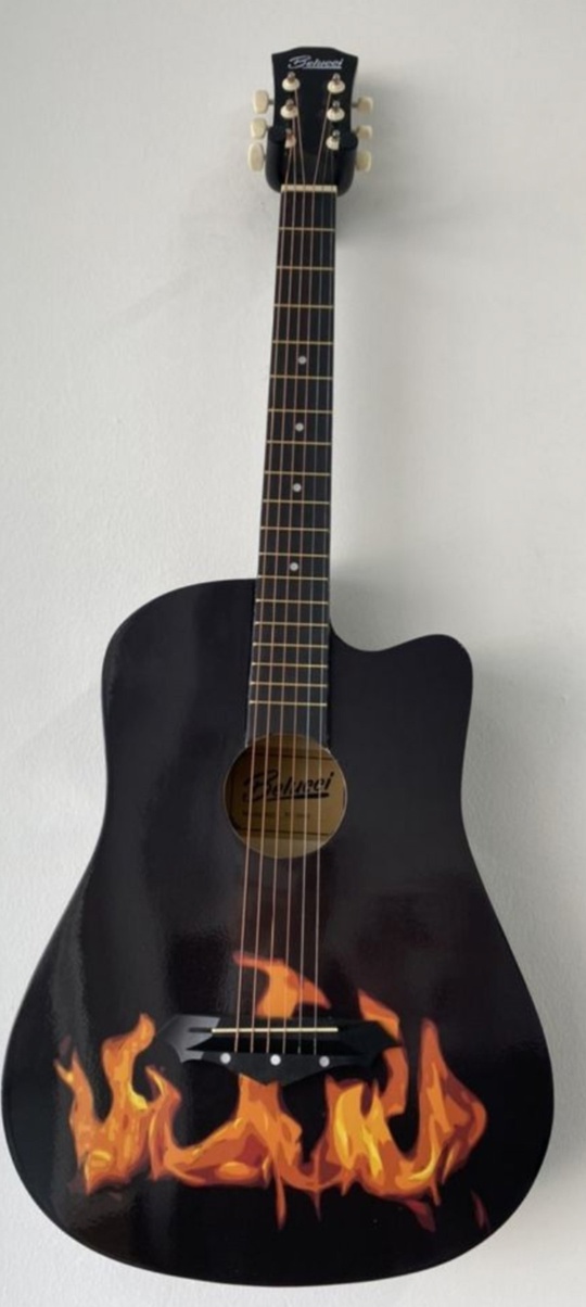 Продам. 4800р. Гитара акустическая 7/8
Абсолютно (1)