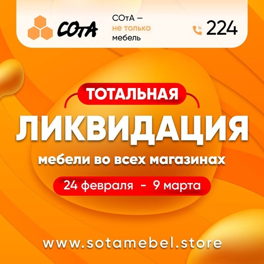 Тотальная ЛИКВИДАЦИЯ МЕБЕДИ «СОтА» во