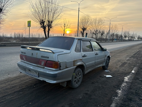4 год,переваренная,все доки на руках (2)