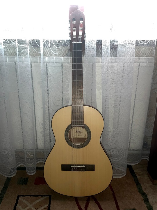 Продам гитару Cort 3/4 +чехол
В